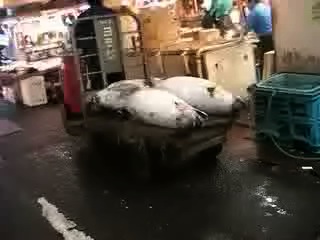 Tsukiji Fish market