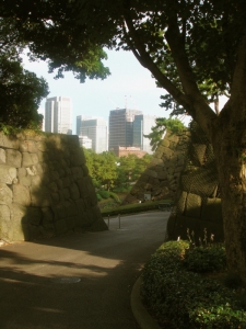 dsc00177