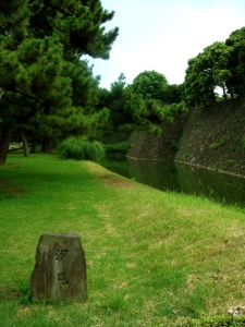 dsc00157