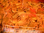 IMG_1011.JPG