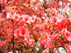 DSCN0928.JPG