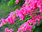 IMG_1171.JPG